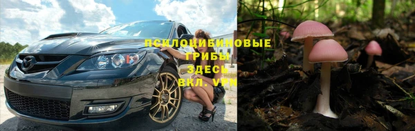 apvp Горно-Алтайск