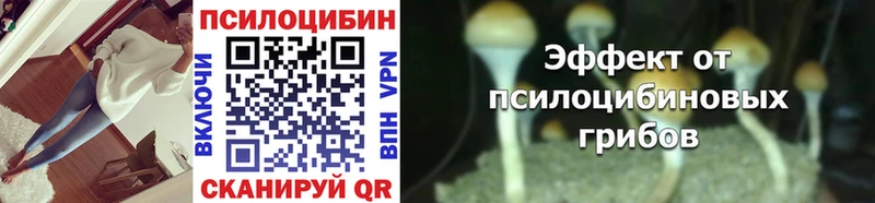 omg как зайти  Жердевка  Галлюциногенные грибы прущие грибы  хочу наркоту 